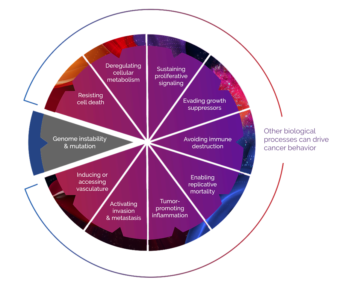 A circle chart of biological processes including Genome instability and mutation.