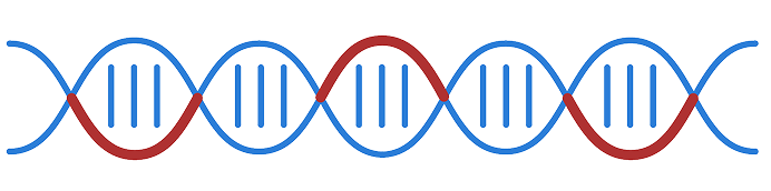 Infographic with textbook visual of DNA displaying how multiomics maximizes sensitivity by including genomic alterations and epigenomic alterations, such as DNA methylation. Genomic alterations cover clonal driver alterations, including SNVs and Indels. Epigenomic alterations provides differential methylation in tumor DNA.